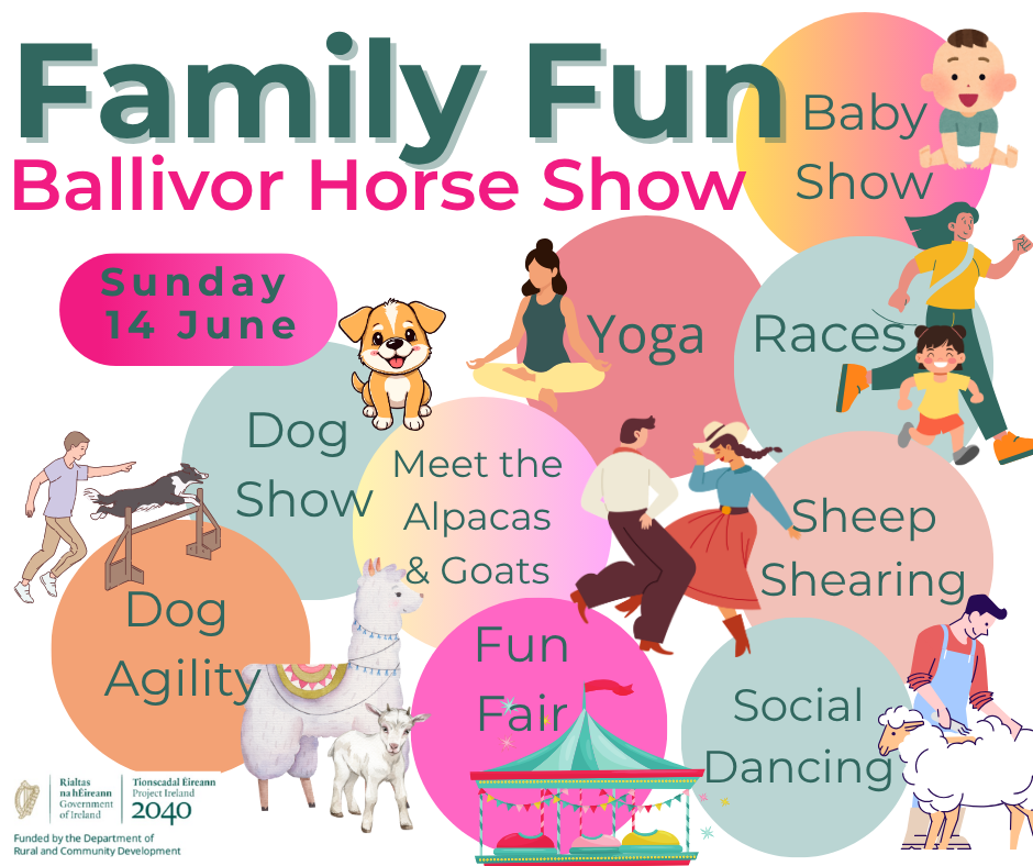 Family Fun at Ballivor Horse SHow (6)